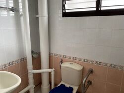Blk 113 Bishan View (Bishan), HDB 4 Rooms #378355451
